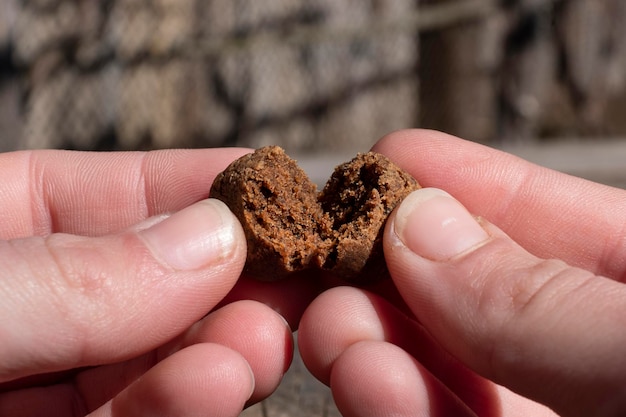 Morceaux sombres de cannabis haschich avec des trihomes à haute teneur en thc