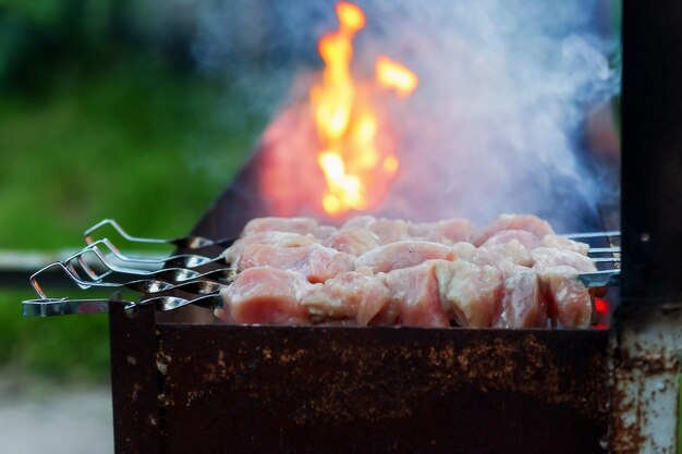 Morceaux de viande rôtis au brasero