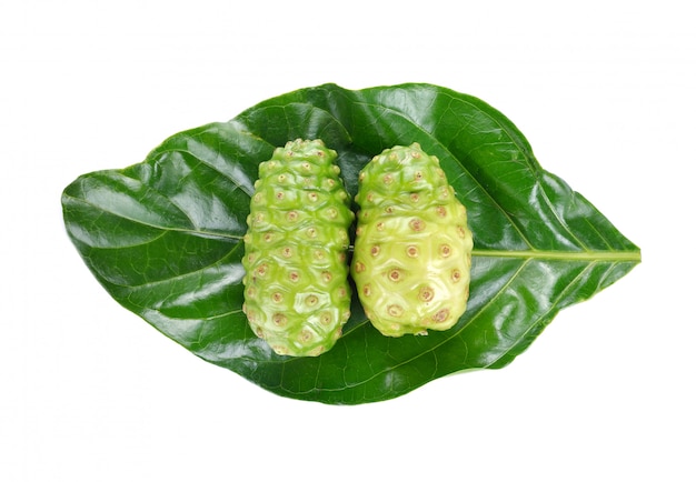 Photo morinda citrifolia ou noni sur fond blanc.