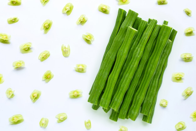 Moringa oleifera avec des graines fraîches isolées