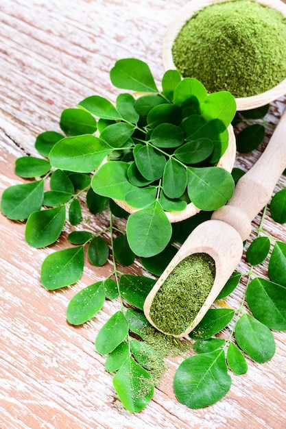 Moringa en poudre avec des feuilles de Moringa fraîches originales sur bois