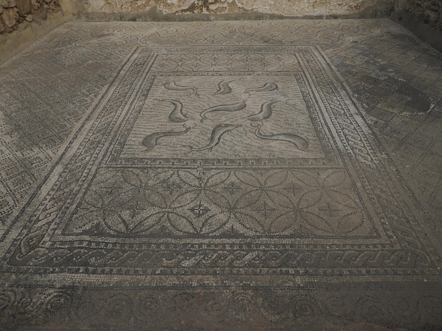 Mosaïque des ruines romaines de Volubilis au Maroc - Ruines romaines les mieux conservées situées entre les villes impériales de Fès et Meknès sur une plaine fertile entourée de champs de blé.