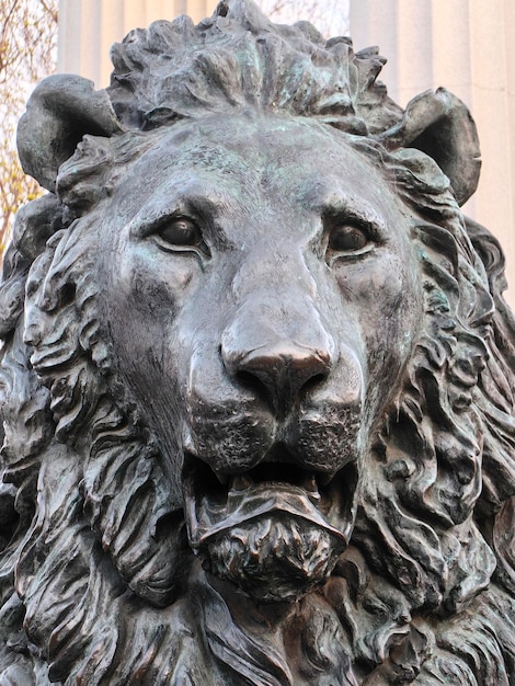 Photo moscou russie 13 avril 2024 sculpture de tête de lion en gros plan dans un parc de la ville