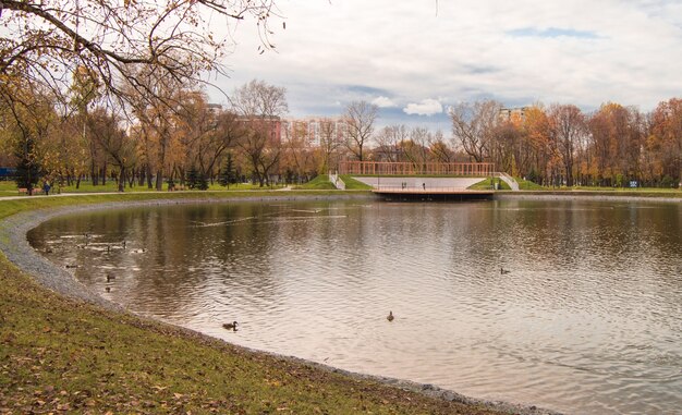 Moscou, Russie-8 octobre 2019 : vue d'automne de l'étang aux canards dans le parc de la ville Torfyanka