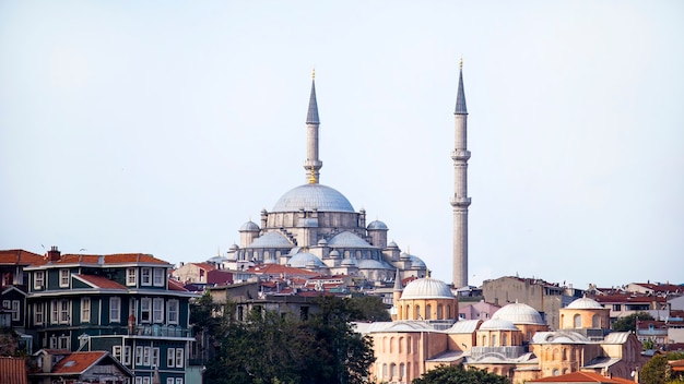 Mosquée Gazi Atik Ali Pasha à Istanbul par temps nuageux avec des bâtiments résidentiels autour, Turquie