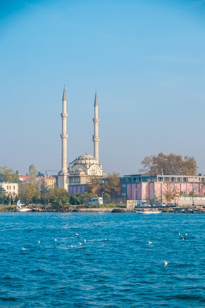 Mosquée d&#39;Istanbul