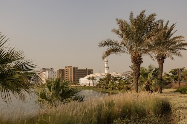 Mosquée Jaffali près du lac dans la région de Jeddah Al Balad en Arabie Saoudite