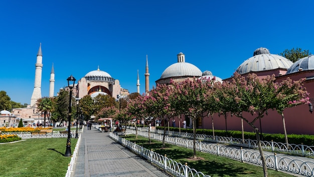 Mosquée Sainte-Sophie à Sultanahmet, Istanbul, Turquie.