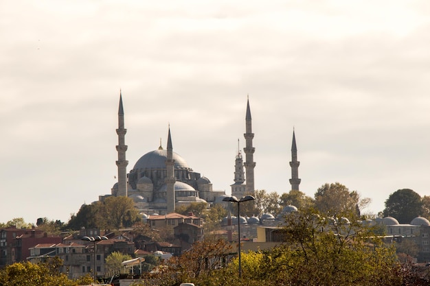 Mosquée de style ottoman à Istanbul
