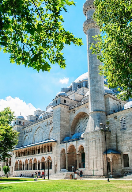 Mosquée de Suleymaniye sur fond de ciel bleu et de feuilles vertes