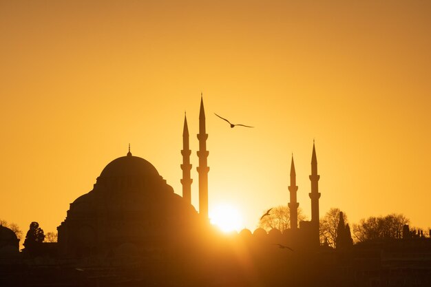 La mosquée Suleymaniye d'Istanbul contre le ciel au coucher du soleil