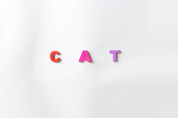 Le mot chat en lettres colorées sur fond blanc