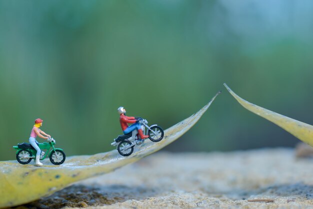 Les motards miniatures en tournée dans la nature