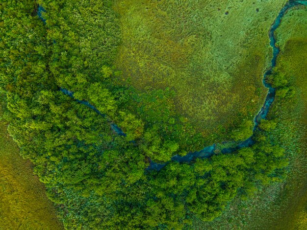 Motif abstrait de la nature dans les zones humides et les prairies en Slovénie Drone View