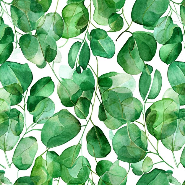 Motif aquarelle transparente verte avec des feuilles d'eucalyptus transparentes sur fond blanc