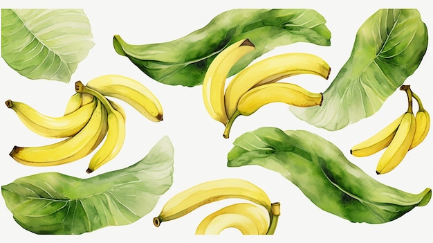 Motif banane aquarelle
