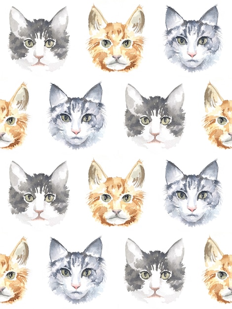 Motif de chats aquarelle et dessinés à la main