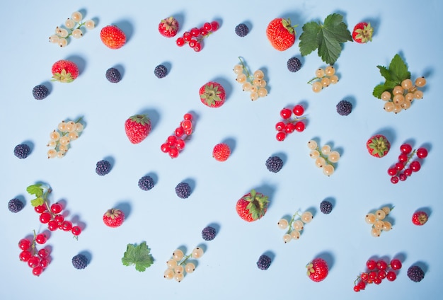 Motif coloré composé de fruits, feuilles et baies