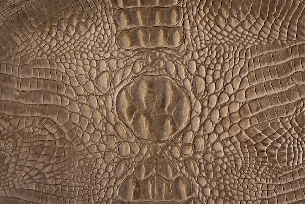 Motif en cuir de crocodile marron pour le fond et la texture