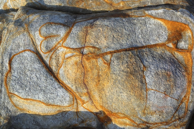 Motif fantaisiste sur grand pavé