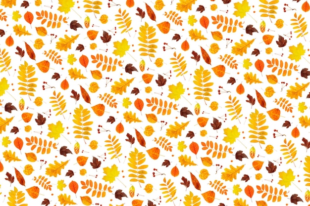 Photo motif de feuilles et de baies d'automne orange naturel sur fond blanc comme toile de fond ou texture papier peint d'automne pour votre conception vue de dessus mise à plat