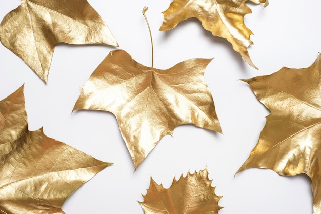 Motif de feuilles d'érable dorées sur fond blanc vue de dessus en gros plan