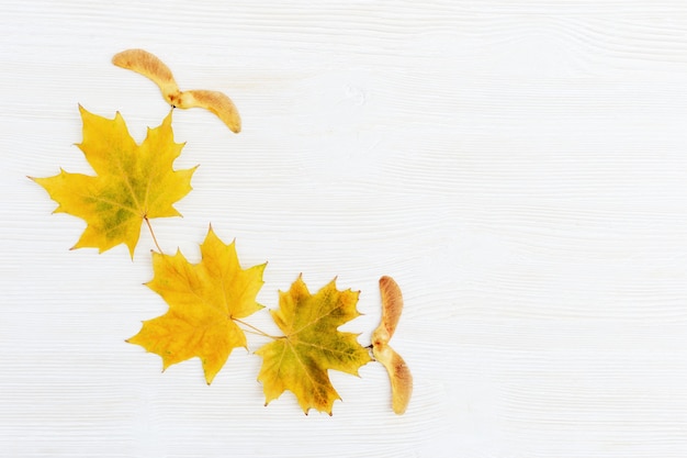 Motif de feuilles et graines d'érable sur fond de bois blanc