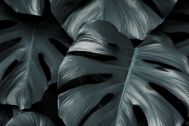 Motif de feuilles de monstera vert foncé dans les tons noirs