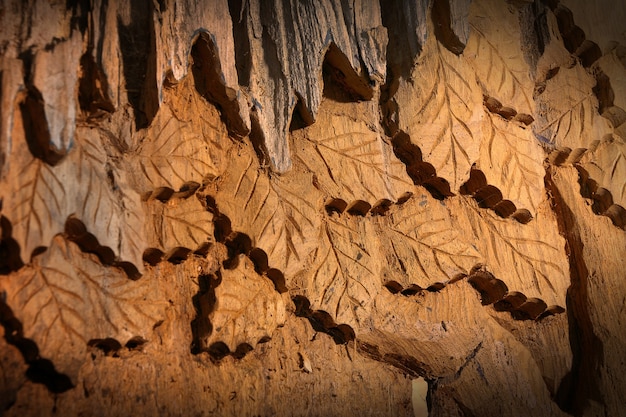 Motif de feuilles sculptées sur fond de bois