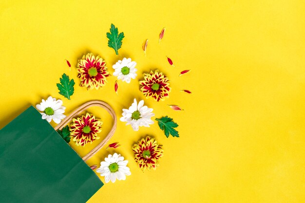 Motif de fleurs asters rouges et blancs, feuilles vertes isolées sur jaune