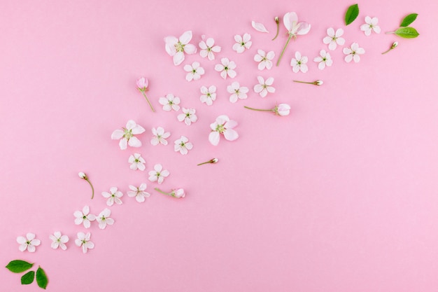 Motif de fleurs en fleurs de cerisier de printemps blanc