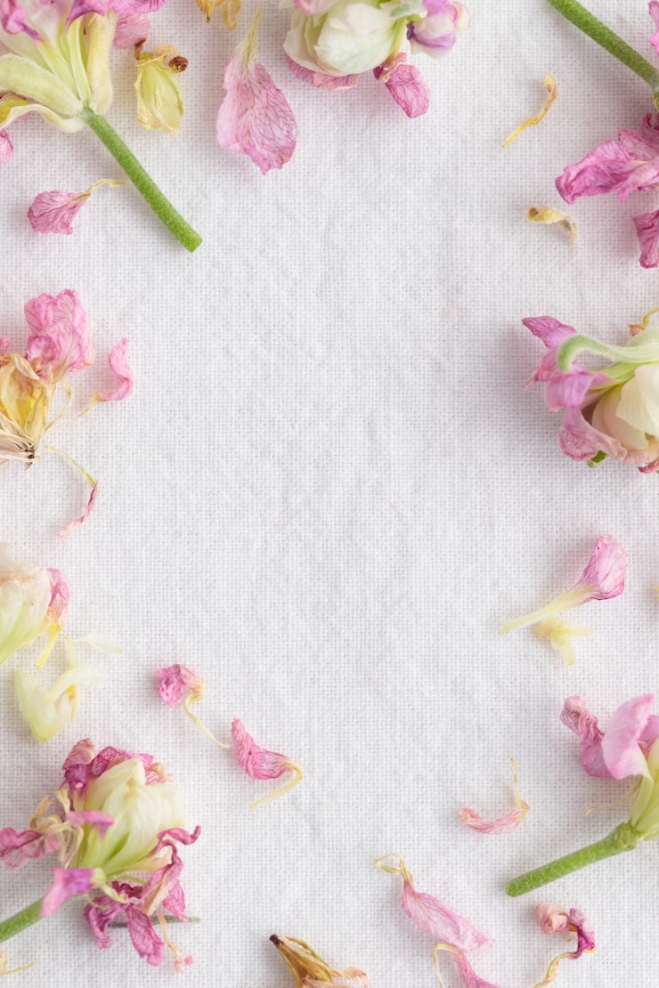 Photo motif floral composé de fleurs roses sur fond blanc texture motif fleurs