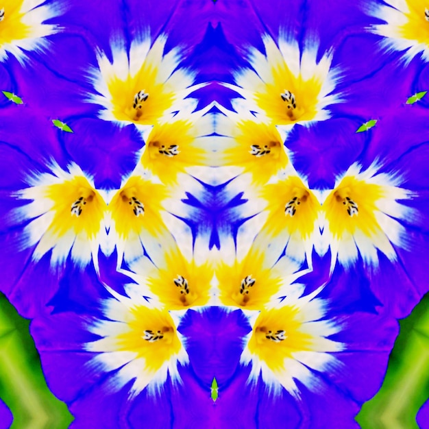 Un motif floral décoratif de kaléidoscope numérique