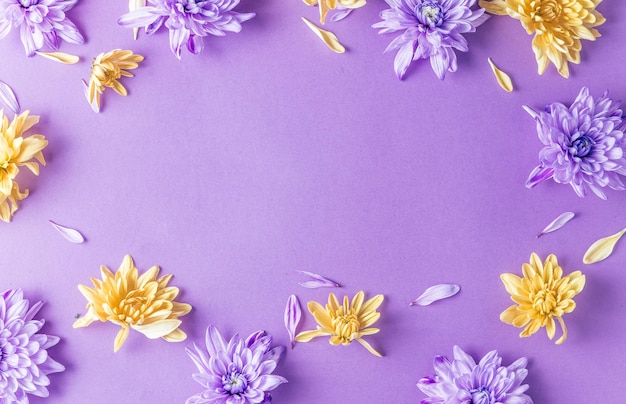 Motif floral avec des fleurs de chrysanthème violet et jaune sur fond tendance lilas