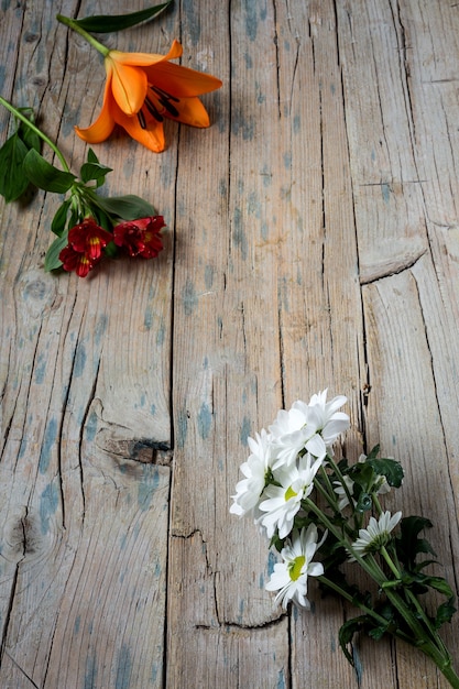 Motif floral avec plusieurs fleurs colorées