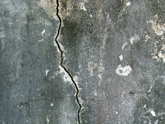 Motif de fond de mur en béton. Les anciennes surfaces en ciment sont moulées en noir (Stachybotrys chartarum)