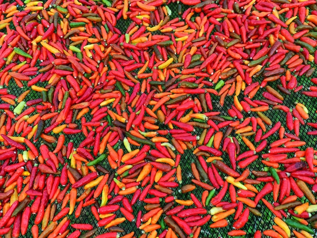 Motif de fond de piments rouges