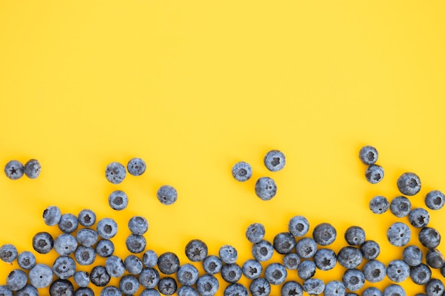 Motif de fruits colorés de bleuets sur fond jaune