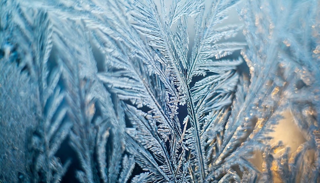Le motif de gel d'hiver sur le verre un pays des merveilles gelé de cristaux de glace délicats créant un hypnotisant