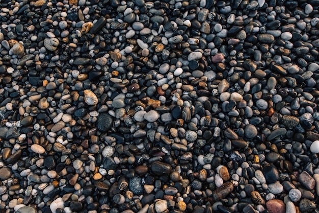 Motif de gravier de pierres colorées humides Fond de cailloux de nature abstraite Fond de pierre