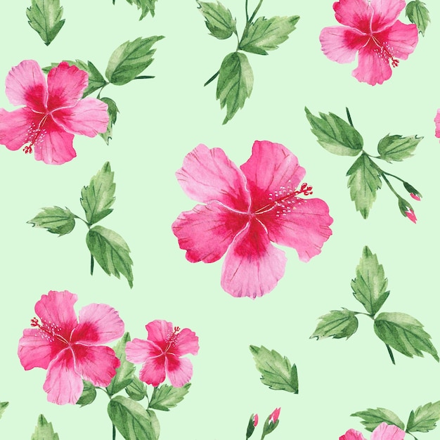 Motif harmonieux d'aquarelle avec illustration botanique d'hibiscus de fleurs tropicales exotiques isolée sur