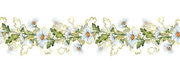 Photo motif horizontal d'aquarelle de marguerites blanches, de feuilles vertes et de contours bruns isolés sur un blanc