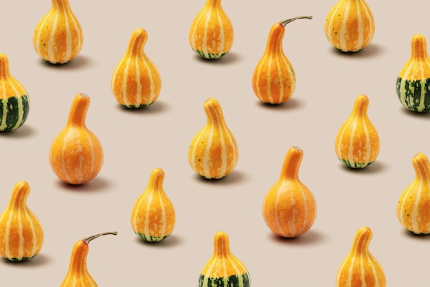 Motif minimal de citrouilles décoratives sur beige Photo esthétique élégante saison d'automne naturelle