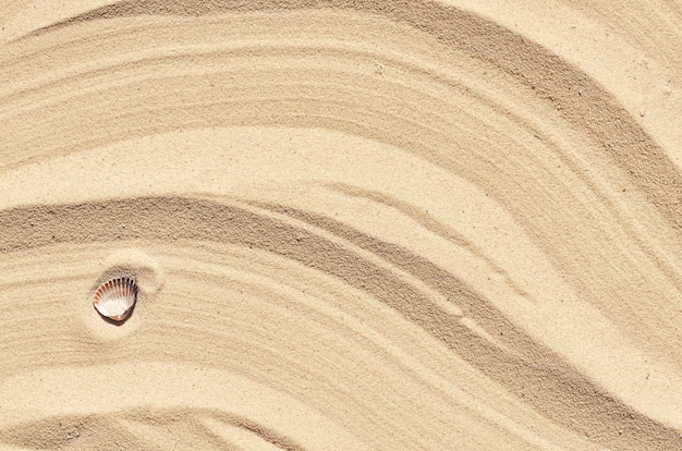 Motif ondulé sur le sable en été