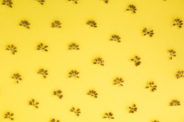 Motif de petites fleurs sur fond jaune