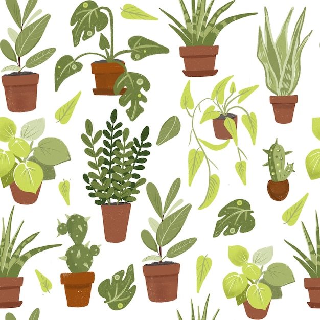 Un motif de plantes en pots dont un qui dit "plantes d'intérieur"