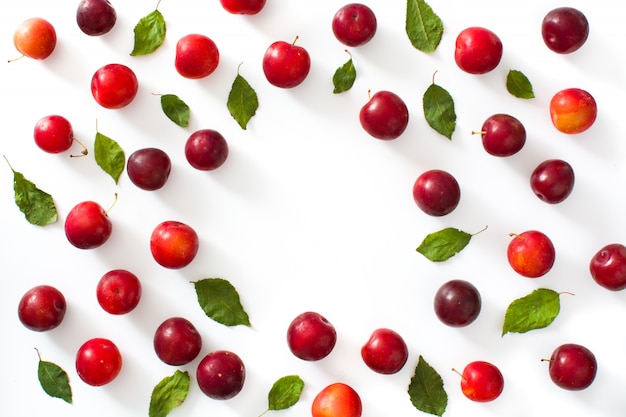 Motif de prunes rouges et jaunes sur fond blanc