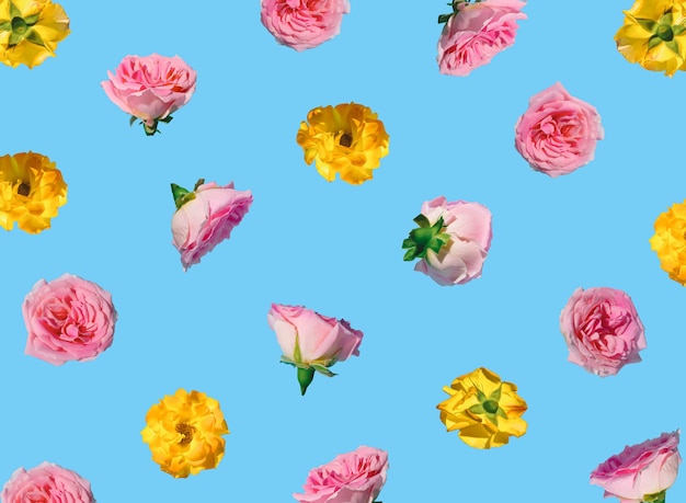 Motif réalisé avec des fleurs roses rose pastel sur fond bleu Concept de printemps minimal Idée du 8 mars