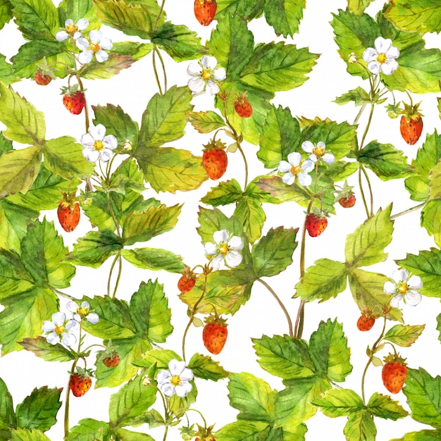 Motif répété sans couture avec champ de fraise des forêts sauvages