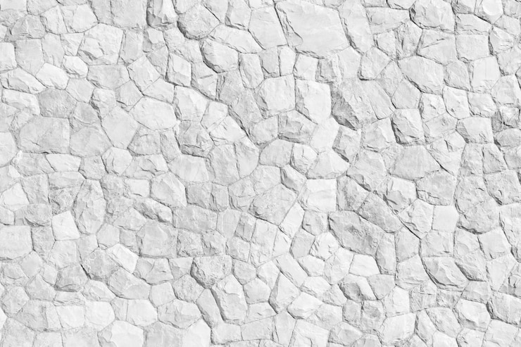 Motif de roche couleur grise et plante mos de style moderne design décoratif